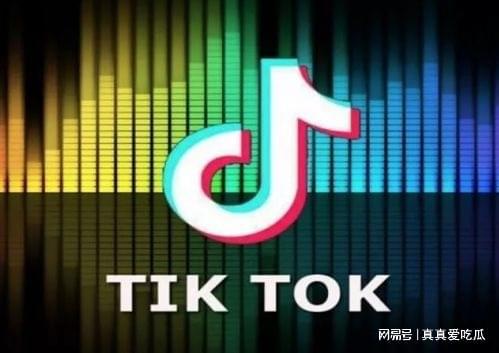 TikTok公会入驻要点_TikTok公会申请流程_tiktok怎么在国内注册