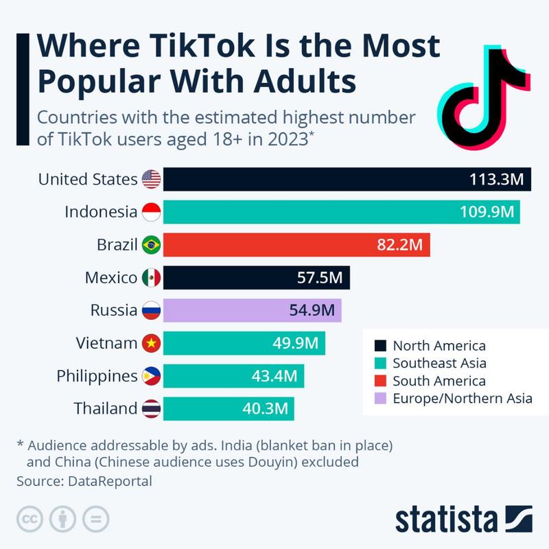 Tiktok品牌商市场选择与布局_Tiktok跨境电商商家长期布局_tiktok游戏推广计划
