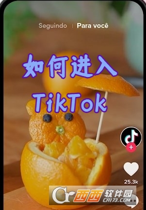 TikTok抖音国际版最新版