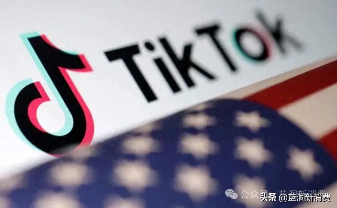  TikTok 广告平台收入 _TikTok 2024 收入分析 _tiktok前景如何