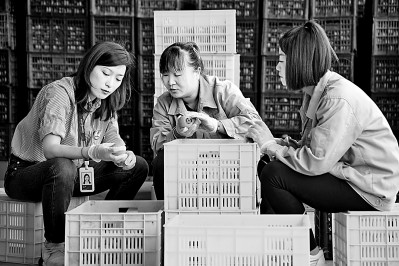 留学海外辅导_留学海外中介_海外留学