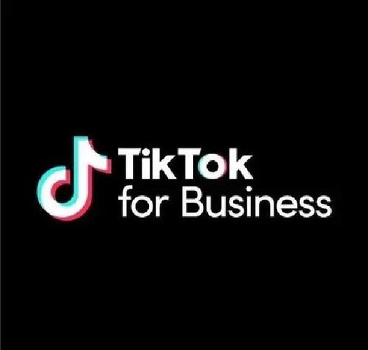 TikTok 密码安全设置_密码组成元素与安全性_tiktok密码设置