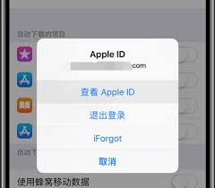 苹果id格式_购买苹果id账号网站是什么_苹果id账号格式