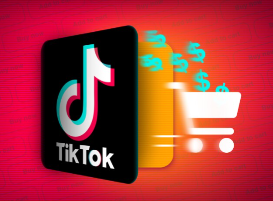 抖音国际版（TikTok）网页版入口和说明