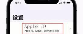 忘记苹果14AppleID密码重置方法_通过AppleID网站重置AppleID密码步骤_苹果id密码问题忘记怎么办