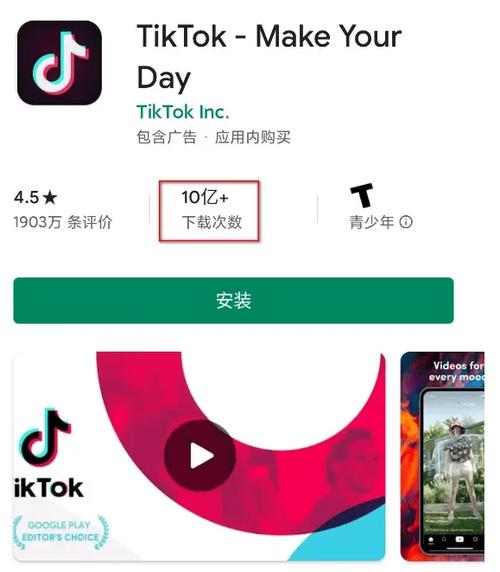 tiktok海外版怎么赚钱_抖音国际版登录tiktok账户教程_抖音国际版与tiktok联网方法