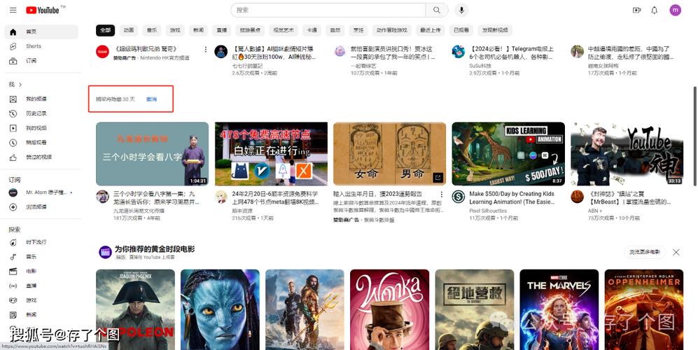 油管到底是什么_油管视频分享平台_youtube发展历程