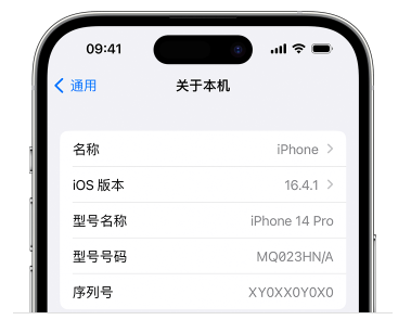 如何查找苹果设备的序列号？步骤一