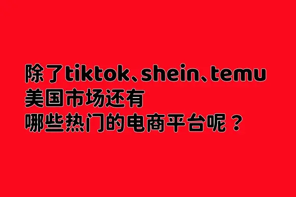 美国跨境电商平台推荐_2025年美国跨境电商市场分析_tiktokshopping