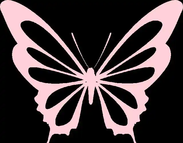 外区苹果ID登录步骤_外区苹果ID使用教程_外区苹果id分享