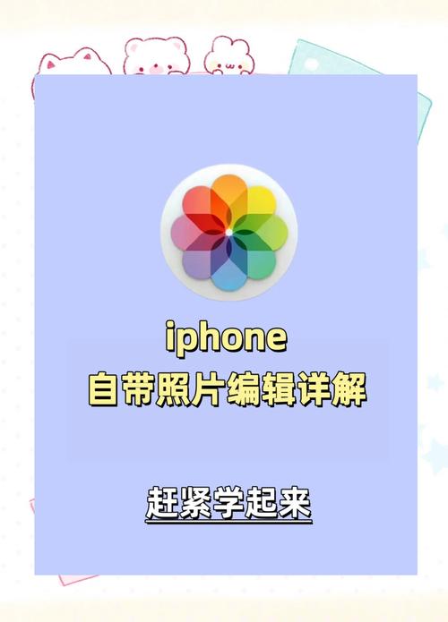 苹果手机icloud官网登录怎么看照片_苹果手机照片导入电脑方法_苹果手机相册照片详细信息查看