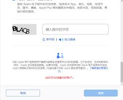 苹果id注册失败原因_苹果id注册邮箱错误_苹果6怎么注册apple id