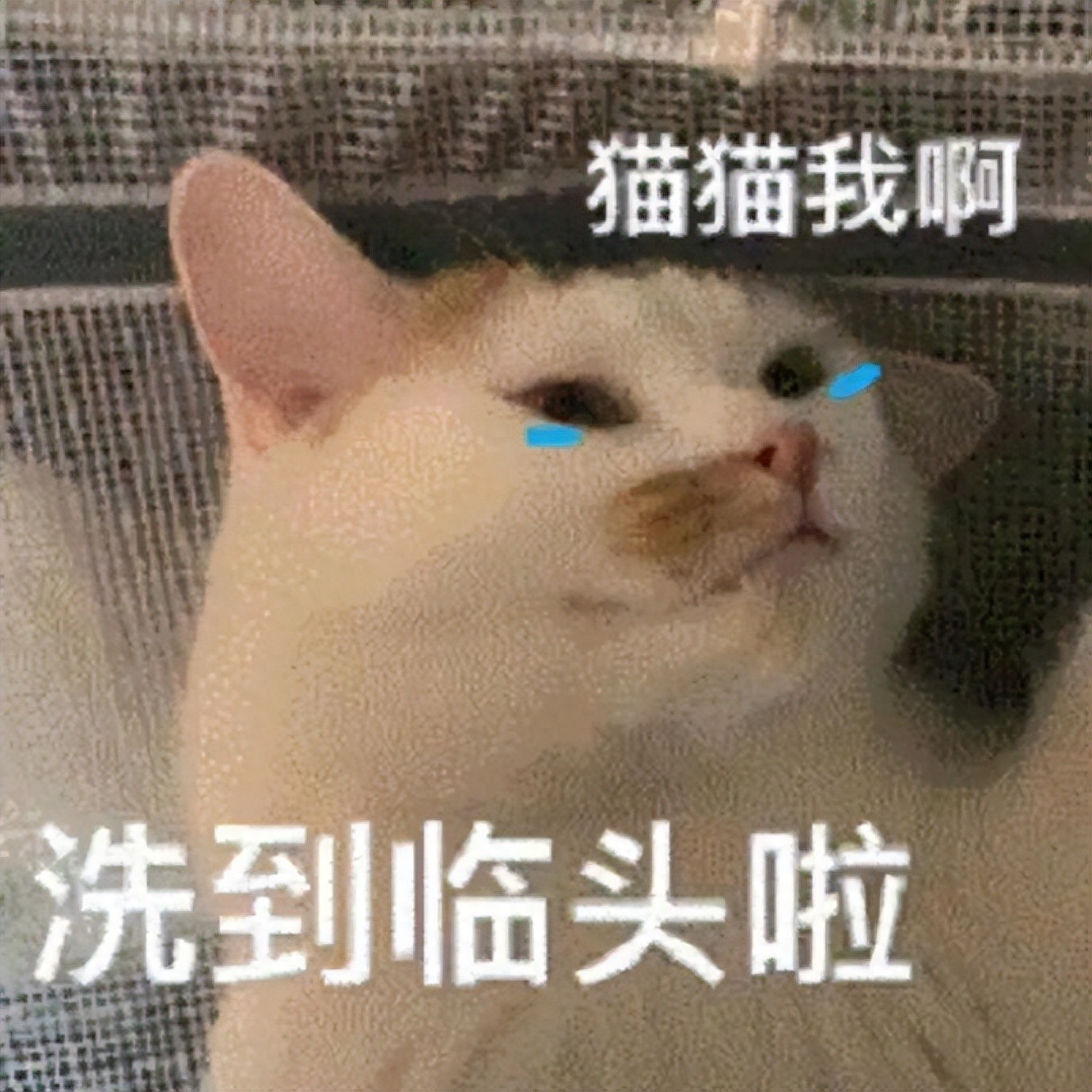 iPhone解锁不删数据方法_apple id 密码忘了怎么办_iPhone锁屏密码忘记怎么办