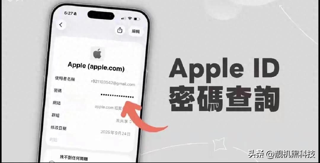 苹果4s忘记apple id和密码怎么办_iOS 18 Apple ID密码查询方法_查找储存的Apple ID密码