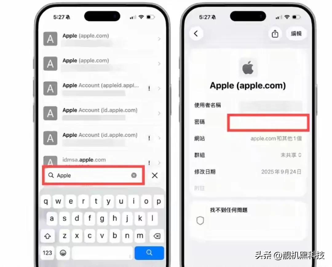 苹果4s忘记apple id和密码怎么办_查找储存的Apple ID密码_iOS 18 Apple ID密码查询方法