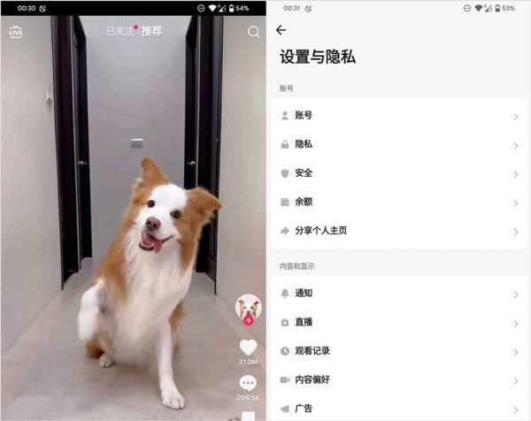 tiktok海外版有国家的区别吗_海外版tiktok怎么赚钱_海外版tiktok国内怎么看