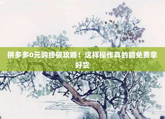 美区Apple ID真的安全吗?专家深度解析使用风险与防护建议