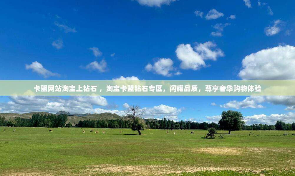 轻松搞定App Store美区账号付款，解锁海量独家应用和优惠！