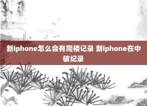 美国Apple ID轻松下载小火箭Shadowrocket详细教程分享