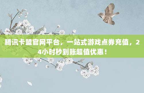快速掌握,苹果充值卡向苹果账号充值的详细步骤与技巧指南