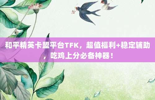 独家获取美区App Store账号，畅享全球热门应用与游戏特权