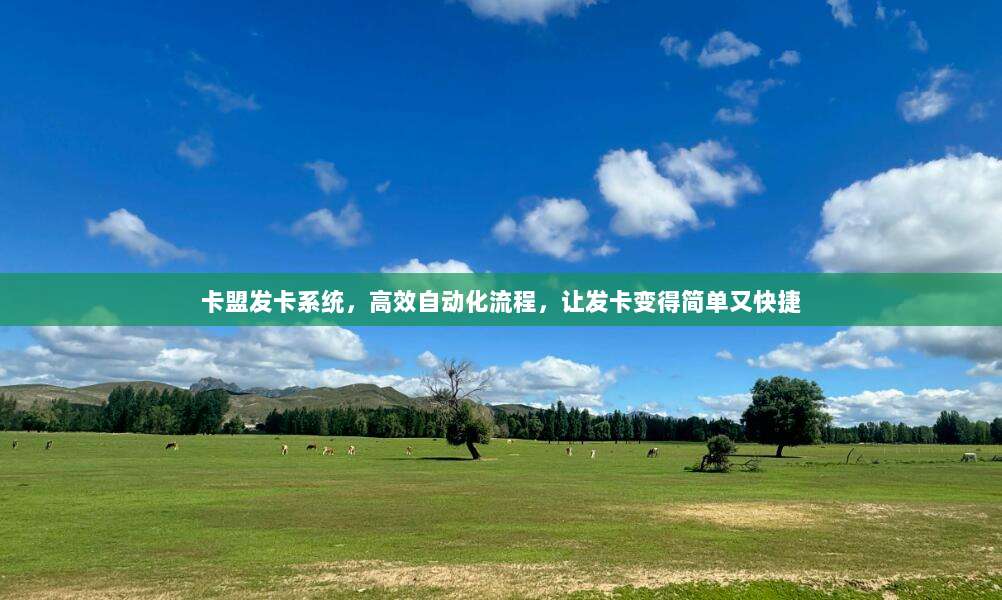 揭秘苹果黑卡充值背后的风险与法律后果,一个深入分析的警示