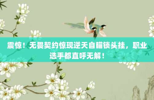 轻松获取iOS美区电话号码,20字以上实用教程与技巧分享