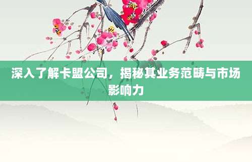轻松将美区App Store切换成中文界面,详细操作步骤一学就会