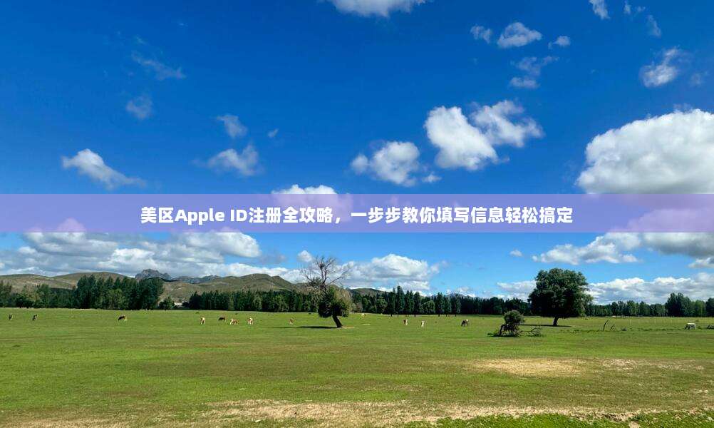 美区Apple ID注册全攻略，一步步教你填写信息轻松搞定