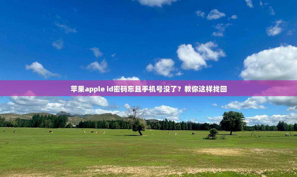 苹果apple id密码忘且手机号没了？教你这样找回