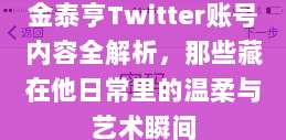 金泰亨Twitter账号内容全解析，那些藏在他日常里的温柔与艺术瞬间