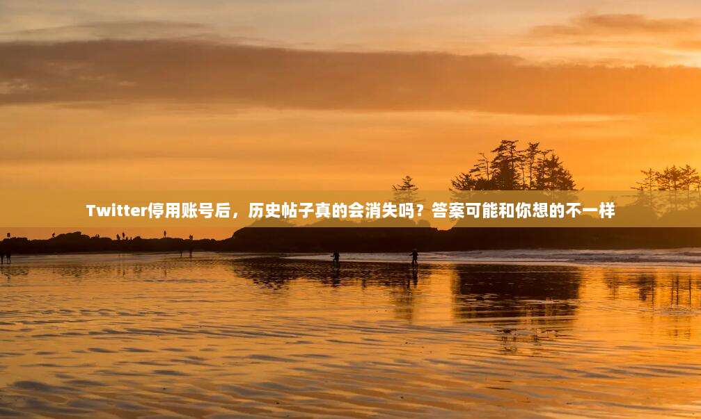 Twitter停用账号后，历史帖子真的会消失吗？答案可能和你想的不一样