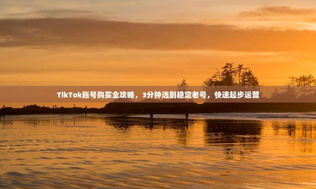 TikTok账号购买全攻略，3分钟选到稳定老号，快速起步运营