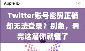 Twitter账号密码正确却无法登录？别急，看完这篇你就懂了