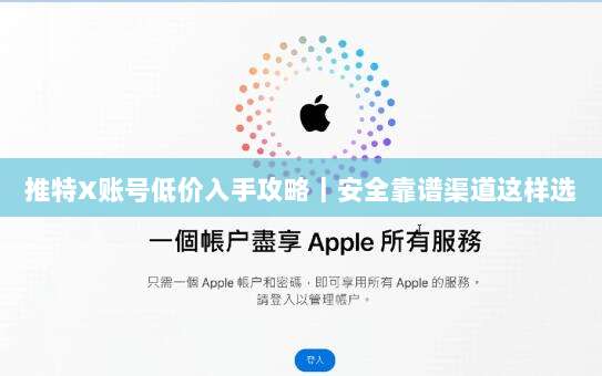 推特X账号低价入手攻略|安全靠谱渠道这样选