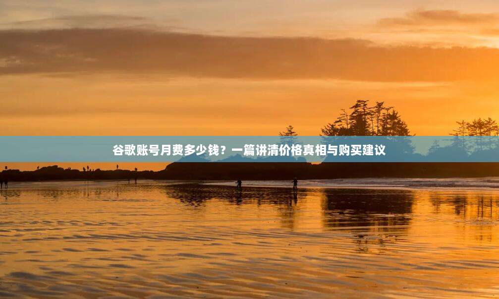 谷歌账号月费多少钱？一篇讲清价格真相与购买建议