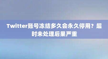 Twitter账号冻结多久会永久停用？超时未处理后果严重