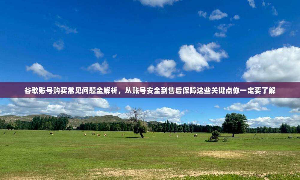 谷歌账号购买常见问题全解析，从账号安全到售后保障这些关键点你一定要了解