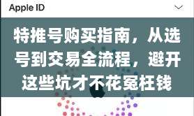 特推号购买指南，从选号到交易全流程，避开这些坑才不花冤枉钱