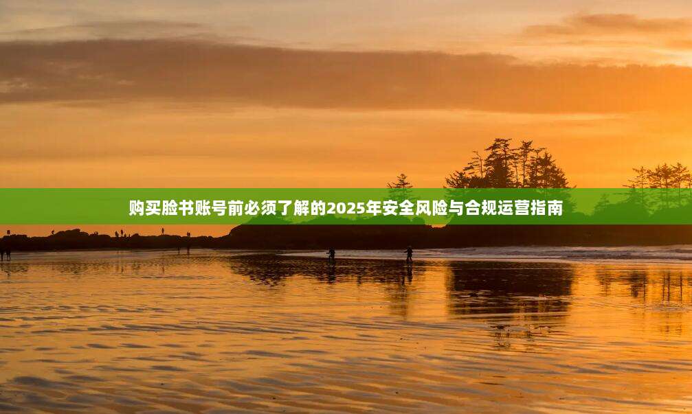 购买脸书账号前必须了解的2025年安全风险与合规运营指南