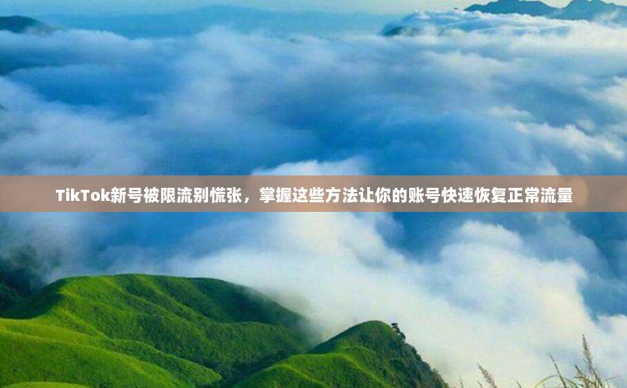 TikTok新号被限流别慌张，掌握这些方法让你的账号快速恢复正常流量