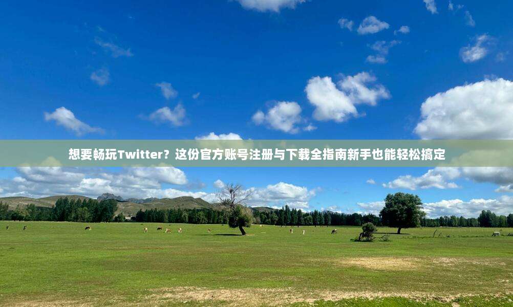 想要畅玩Twitter？这份官方账号注册与下载全指南新手也能轻松搞定