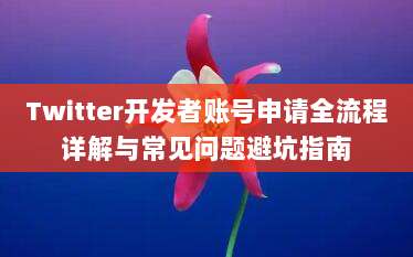 Twitter开发者账号申请全流程详解与常见问题避坑指南