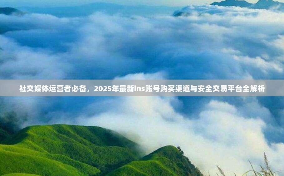 社交媒体运营者必备，2025年最新ins账号购买渠道与安全交易平台全解析