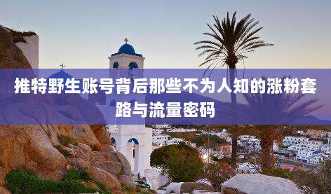 推特野生账号背后那些不为人知的涨粉套路与流量密码