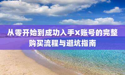 从零开始到成功入手X账号的完整购买流程与避坑指南