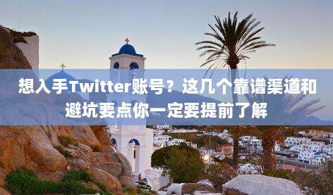 想入手Twitter账号?这几个靠谱渠道和避坑要点你一定要提前了解