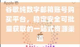 谷歌纯数字邮箱账号购买平台,稳定安全可批量获取的一站式资源渠道