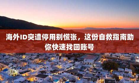 海外ID突遭停用别慌张,这份自救指南助你快速找回账号