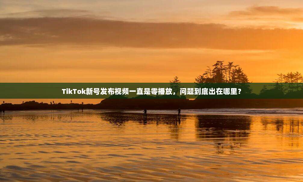 TikTok新号发布视频一直是零播放，问题到底出在哪里？